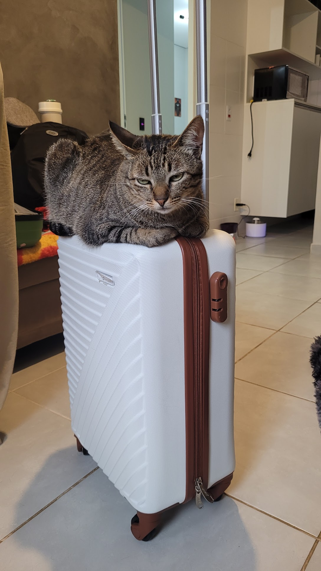 Mimi, nao acreditando que vamos mesmo fazer isso